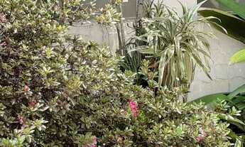 Imagem 2: Casa comercial/ térrea/ Jardim da Glória - São Paulo - SP