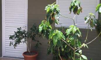 Imagem 6: Cobertura duplex à venda em Boa Viagem com seis (06) quartos - Recife/PE, Edf. Ribela