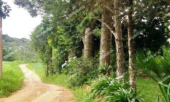 Imagem 2: Excelente Chácara