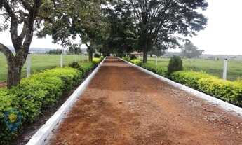 Imagem 3: Cambé - Sítio - Recanto Rancho Ringo