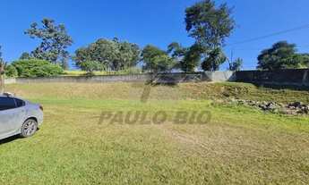 Imagem 11: SAO PAULO - Terreno Padrão - Colônia (Zona Leste