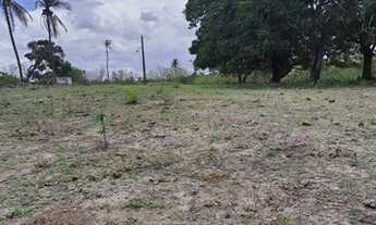 Imagem 7: Excelente Fazenda com 150 hectares na região de São Gonçalo do Amarante