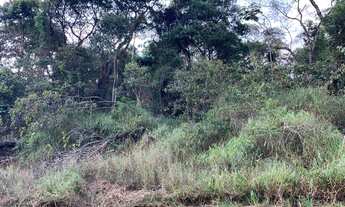 Imagem 6: Vendo Excelente Lote de 1.000 m² no Condomínio Canto Da Mata em Nova Lima