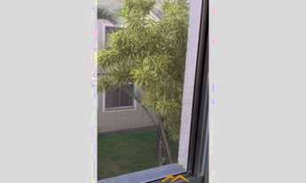 Imagem: Apartamento Residencial à venda, Jardim