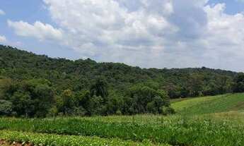 Imagem 7: 32Lote/Terreno para venda tem 600 metros quadrados com 1 quarto em Centro - Cotia - SP