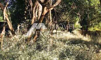 Imagem 2: Lote/Terreno à Venda, Chácaras Pedro Corrêa de Carvalho - Ribeirão Preto