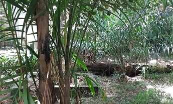 Imagem 4: Terreno à venda 13x60 para investimento no bairro Diamantino