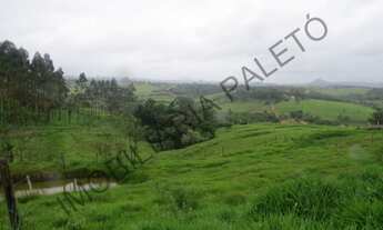 Imagem 4: REF 1151 Chácara 40 mil metros, 6 suítes, linda vista, poço artesiano, piscina