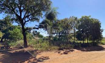 Imagem 4: Ótima Localização 10 mil metros