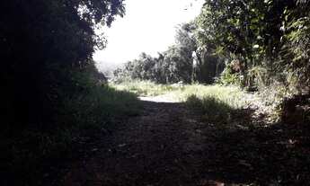 Imagem 2: Área para Venda em Suzano, Fazenda Aya