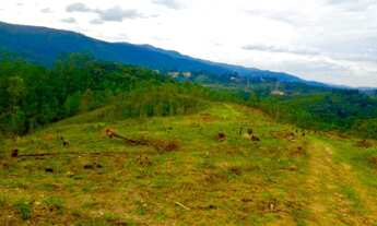 Imagem 6: Terreno para venda no interior - São Paulo