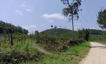 Imagem 4: Sítio 14 Alqueires 12 Alqueires aberto ( Willian Ricardo