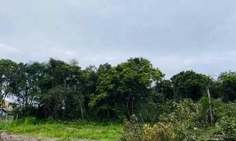 Imagem 3: Terreno para Venda - Praia Grande, Matinhos - 510m²