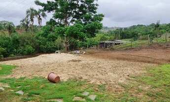 Imagem 5: Espetacular chácara com casa sede piscina curral água 2 alqueires 1500m estrada de chão