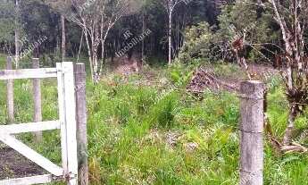 Imagem 6: Excelente Chácara Sem Benfeitorias