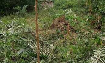 Imagem 3: Terreno barato pra lazer em Presidente Figueiredo