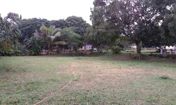 Imagem 7: Terreno de 75000m2 com Casa de 5/4 - Abrantes