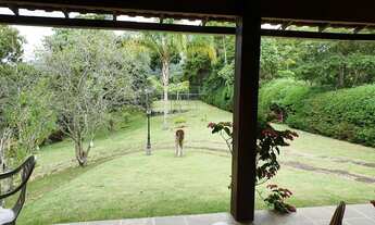 Imagem 6: Casa para venda com 3 quartos em Itaipava - Petrópolis - RJ