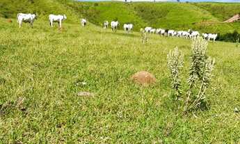 Imagem 9: 32R-Lote/Terreno para venda com 500 metros quadrados em Centro- Atibaia - SP!!!!