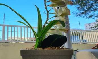 Imagem: SÃO BERNARDO DO CAMPO - Apartamento Padrão