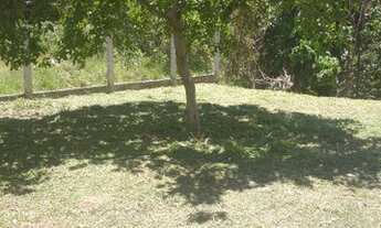 Imagem 6: Grande oportunidade de comprar seu cantinho em meio a natureza