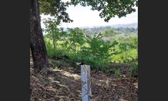 Imagem 6: Terreno à venda, 4000 m² por R$ 1.000.000 - Sapé I - Caçapava/SP