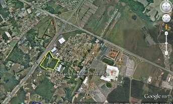 Imagem 2: SÃO JOSÉ DOS PINHAIS - Terreno Padrão - Roseira