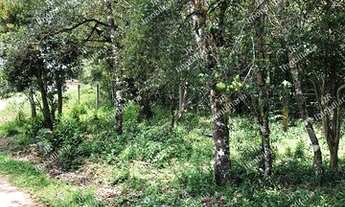 Imagem: Excelente Chácara Sem Benfeitorias