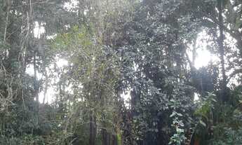 Imagem 2: TERRENO RESIDENCIAL em Cotia - SP, Cotia