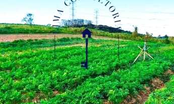 Imagem 6: Venha conhecer Terreno / lote com venda por R$35.000