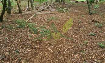 Imagem 6: Chácara à Venda na Represa de Piracaia - Saída Exclusiva para água