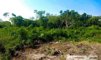 Imagem: Terreno Balneário Barra do Sul
