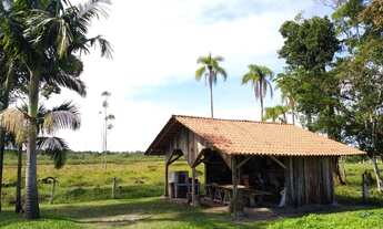 Imagem 3: 1975 Chácara no Bairro Pinheiros