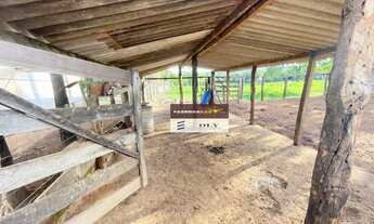 Imagem 7: Fazenda Premium 9.3 Alqueires ! Na Beira do Rio dos Bois - Varjão - GO !