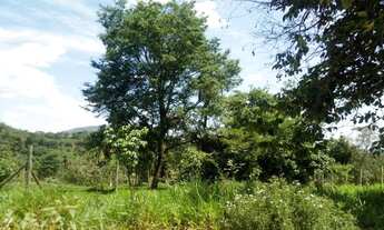 Imagem 4: VENDEM- SE OTIMOS LOTES EM MATEUS LEME - BAIRRO PARAISO