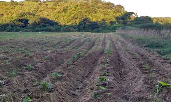 Imagem 7: Área de 23 hectares para venda em Piabetá