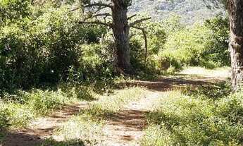Imagem 2: Grande área no Ribeirão da Ilha em Florianópolis
