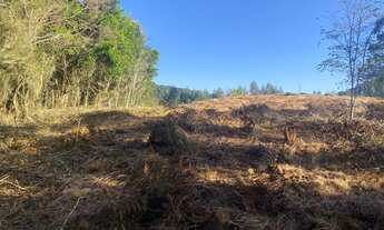 Imagem 4: Lote/Terreno para venda possui 1000 metros quadrados em Centro - Mairiporã - SP