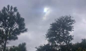 Imagem 3: R4-Lançamento de dar água na boca!