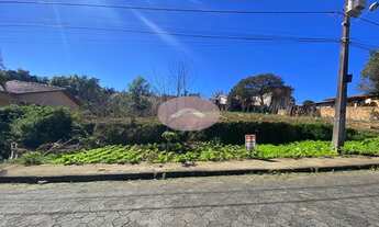 Imagem: Terreno localizado no bairro Mina do Mato