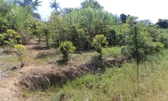 Imagem 4: Sítio Modesta F.º - Morungaba/SP/BR