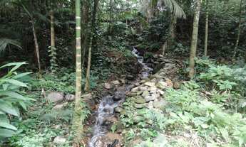 Imagem 6: Linda Chácara com 29.873 m² - Tanques - Aguas Naturais - Quiriri