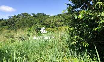 Imagem 3: Fazenda 66 Alqueires, 40 km de Palmas