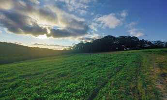 Imagem 4: Lote/Terreno para venda com 500 metros quadrados