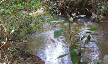 Imagem: Fazenda/Sítio/Chácara para venda tem 200