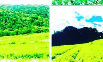 Imagem 4: Vendo meu terreno