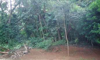 Imagem 2: Lote com otima topografia e localização