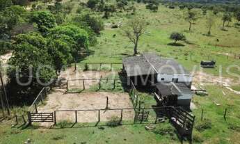Imagem 3: Fazenda a venda Formosa - Go "grande oportunidade&quot