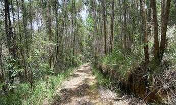 Imagem 2: Terreno à venda, 96000 m² por R$ 340.000,00 - Centro - Pedra Bela/SP