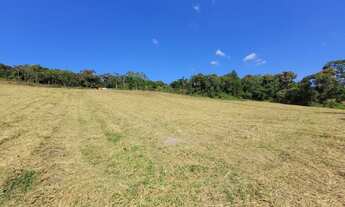 Imagem 4: São Lourenço da Serra - Terreno Padrão - Barrinha